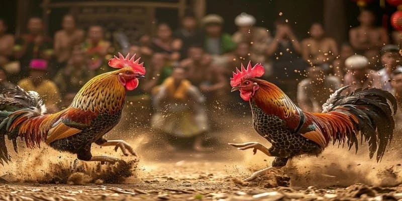 Game Nhanh TX88 - Hình Thức Giải Trí Mới Lạ, Hấp Dẫn - betlivo96.monster